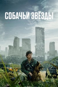 Собачьи звёзды